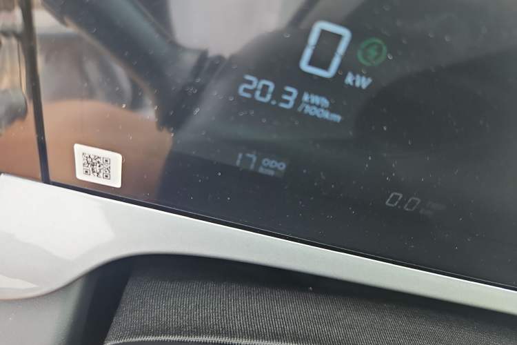 Used Geely Galaxy Geome 2025 310km Youth Edition Odometer Close Up