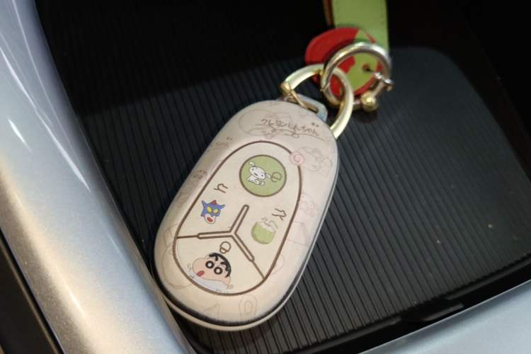 Used Geely Galaxy Geome 2025 310km Youth Edition Vehicle Key