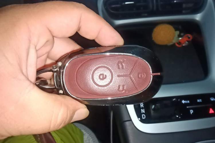 Used Geely Galaxy Geome 2025 310km Dream Edition Vehicle Key