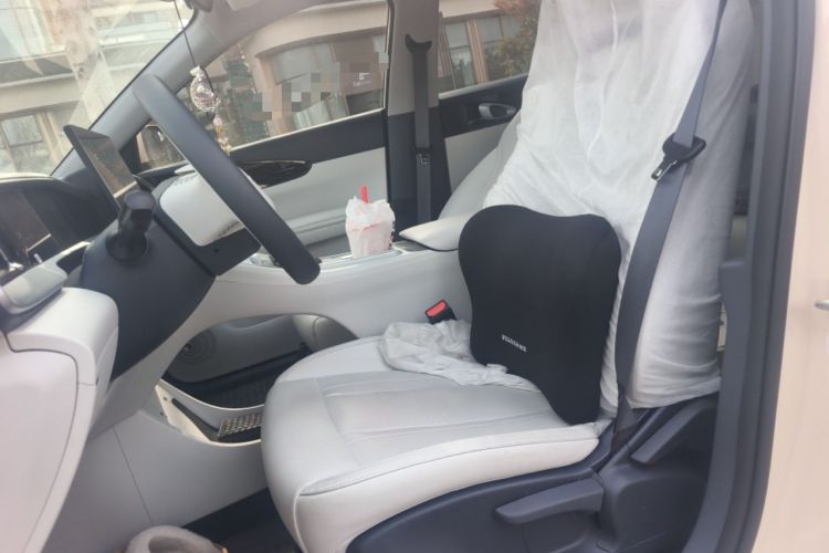 Used Geely Galaxy Geome 2025 310km Dream Edition Left Front Seat