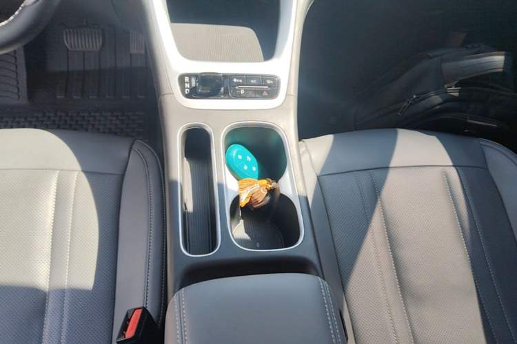 Used Geely Galaxy Geome 2025 310km Dream Edition Gear Lever