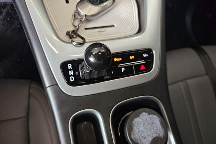 Used Geely Galaxy Geome 2025 310km Youth Edition Gear Lever
