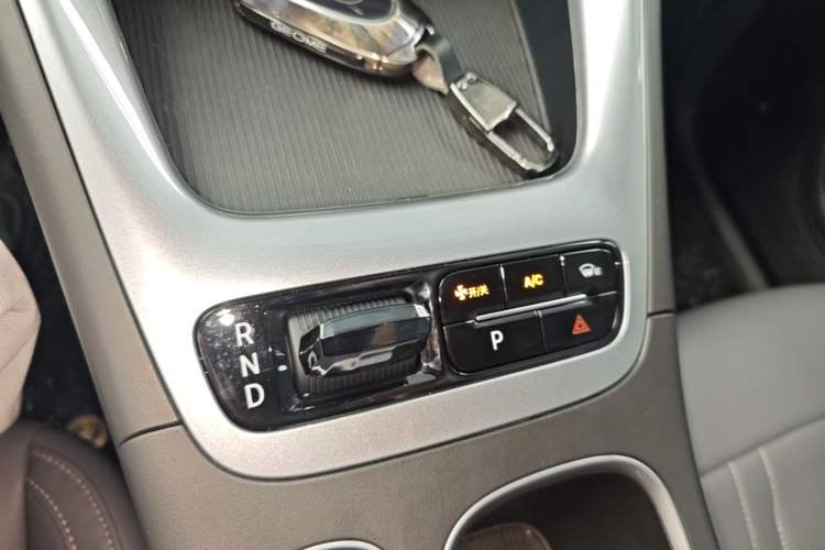 Used Geely Galaxy Geome 2025 310km Youth Edition Gear Lever