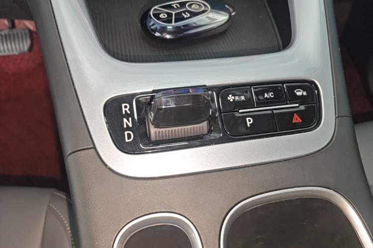 Used Geely Galaxy Geome 2025 310km Dream Edition Gear Lever