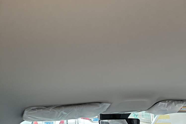 Used Geely Galaxy Geome 2025 410 km Free Version Headliner