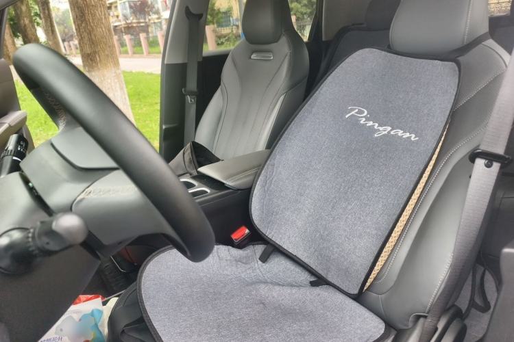 Used Geely Galaxy Geome 2025 310km Youth Edition Left Front Seat