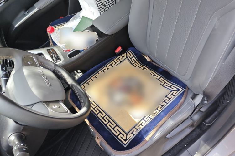 Used Geely Galaxy Geome 2025 310km Dream Edition Left Front Seat