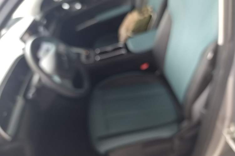 Used Geely Galaxy Geome 2025 310km Dream Edition Left Front Seat