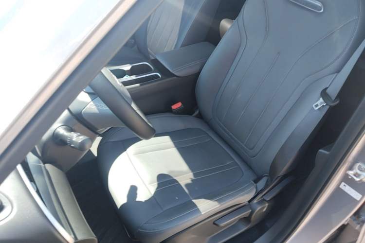 Used Geely Galaxy Geome 2025 310km Dream Edition Left Front Seat