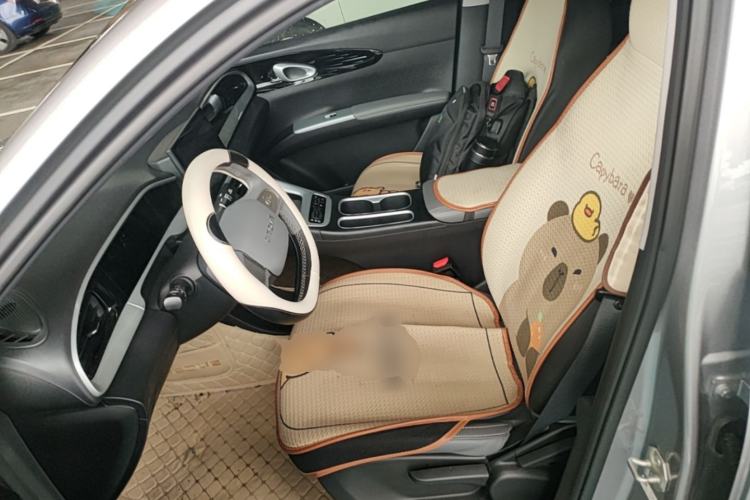 Used Geely Galaxy Geome 2025 310km Youth Edition Left Front Seat