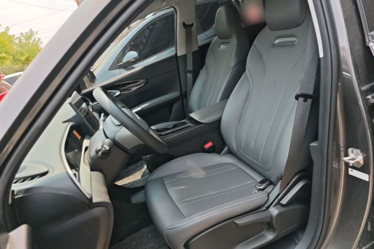 Used Geely Galaxy Geome 2025 310km Dream Edition Left Front Seat