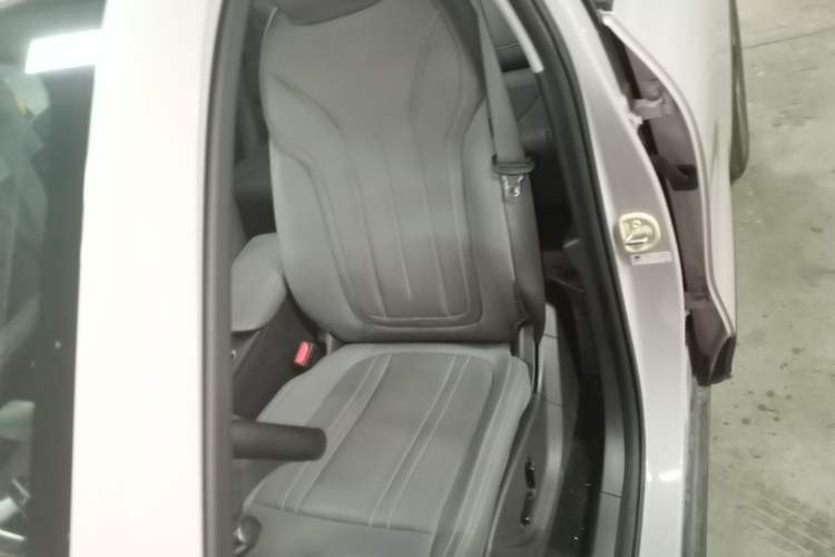Used Geely Galaxy Geome 2025 310km Dream Edition Left Front Seat