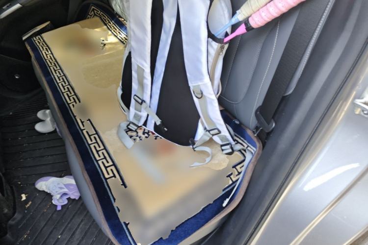 Used Geely Galaxy Geome 2025 310km Dream Edition Left Rear Seat