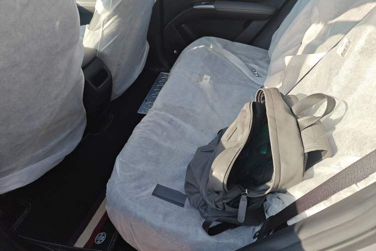 Used Geely Galaxy Geome 2025 310km Youth Edition Left Rear Seat
