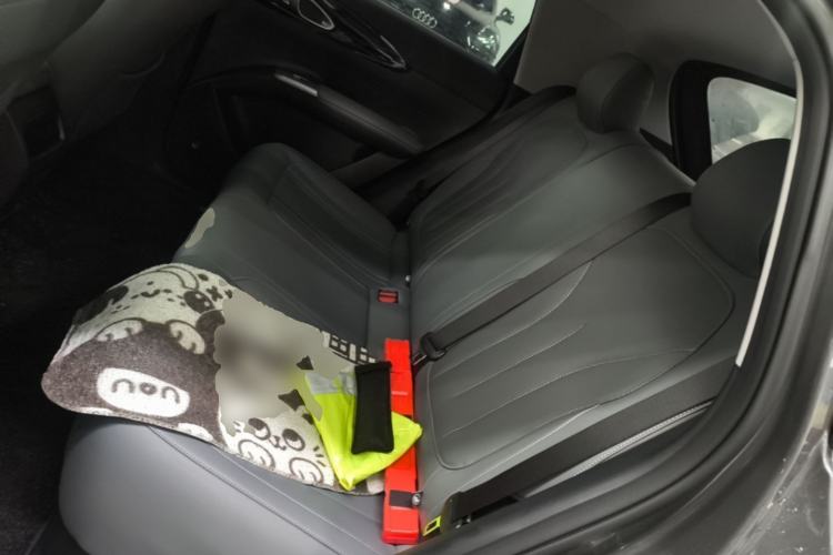 Used Geely Galaxy Geome 2025 310km Youth Edition Left Rear Seat