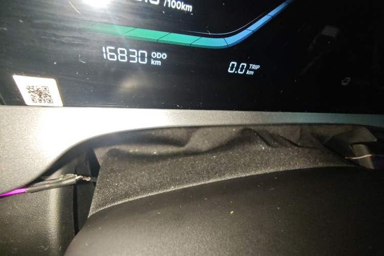 Used Geely Galaxy Geome 2025 310km Youth Edition Odometer Close Up