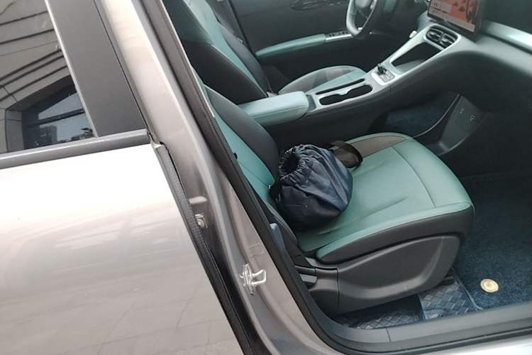 Used Geely Galaxy Geome 2025 310km Youth Edition Right Front Seat