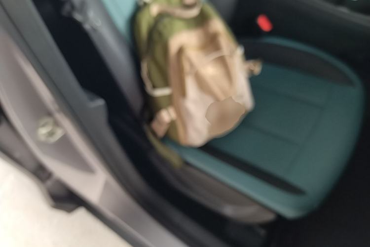 Used Geely Galaxy Geome 2025 310km Dream Edition Right Front Seat