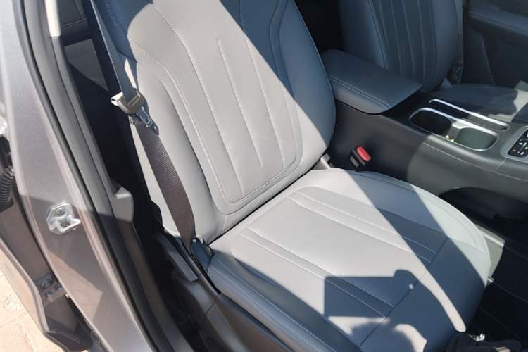 Used Geely Galaxy Geome 2025 310km Dream Edition Right Front Seat