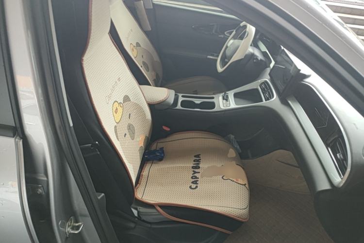 Used Geely Galaxy Geome 2025 310km Youth Edition Right Front Seat