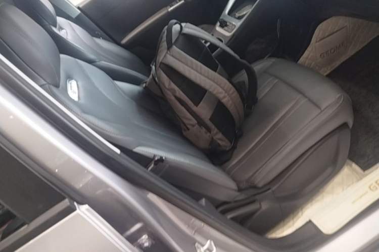 Used Geely Galaxy Geome 2025 UP 410km Exploration Edition Right Front Seat