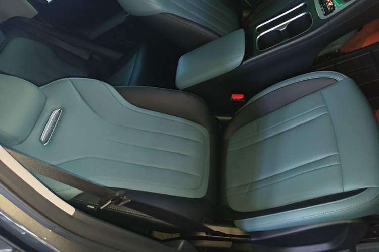 Used Geely Galaxy Geome 2025 310km Dream Edition Right Front Seat