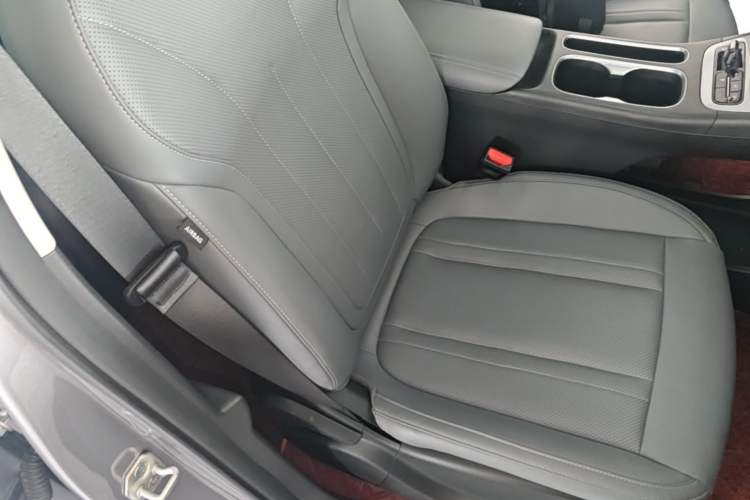 Used Geely Galaxy Geome 2025 310km Dream Edition Right Front Seat