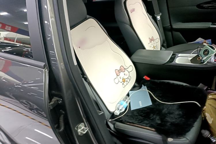 Used Geely Galaxy Geome 2025 310km Youth Edition Right Front Seat