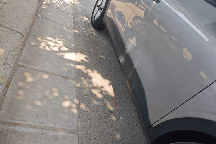 Used Geely Galaxy Geome 2025 310km Youth Edition Right Side Sill