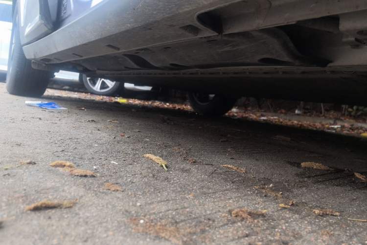 Used Geely Galaxy Geome 2025 UP 410km Exploration Edition Right Side Sill