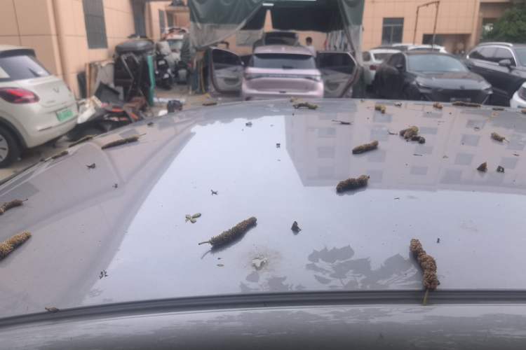 Used Geely Galaxy Geome 2025 UP 410km Exploration Edition Roof