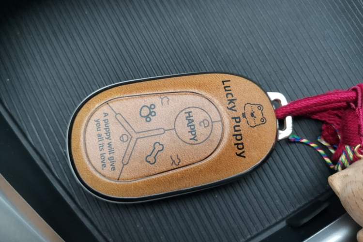 Used Geely Galaxy Geome 2025 310km Dream Edition Vehicle Key
