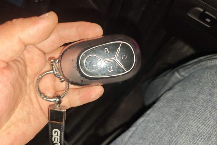 Used Geely Galaxy Geome 2025 310km Youth Edition Vehicle Key