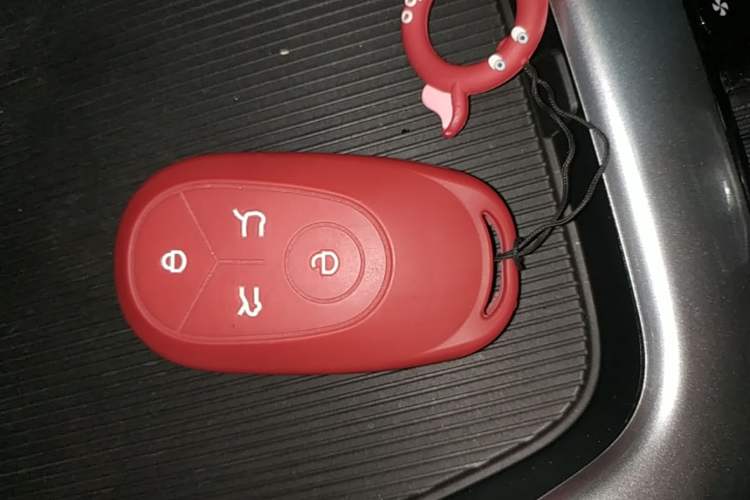 Used Geely Galaxy Geome 2025 310km Dream Edition Vehicle Key