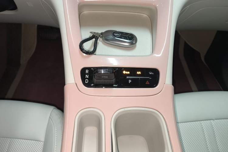 Used Geely Galaxy Geome 2025 310km Youth Edition Gear Lever