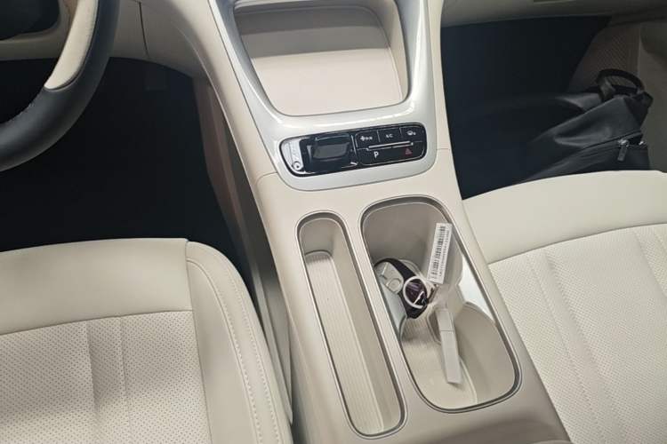 Used Geely Galaxy Geome 2025 310km Dream Edition Gear Lever