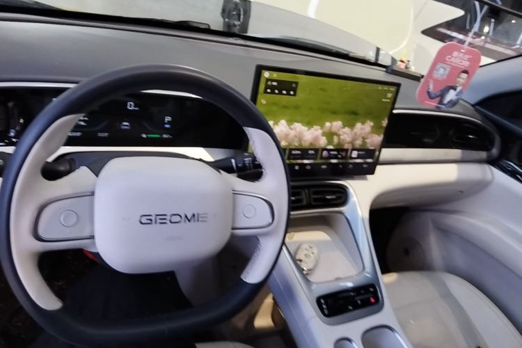 Used Geely Galaxy Geome 2025 310km Dream Edition Center Console
