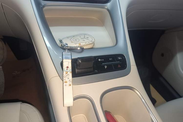 Used Geely Galaxy Geome 2025 310km Dream Edition Gear Lever