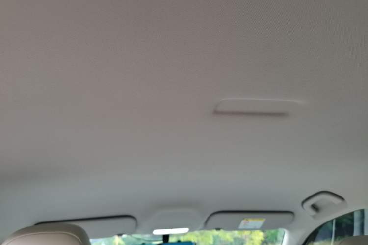 Used Geely Galaxy Geome 2025 310km Youth Edition Headliner