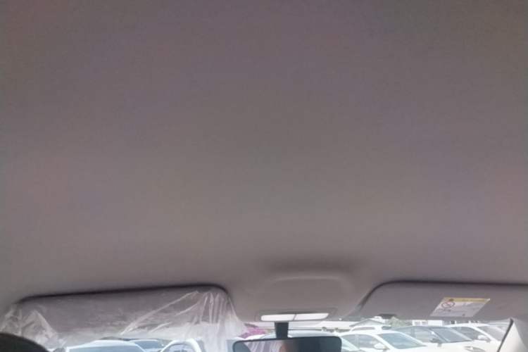 Used Geely Galaxy Geome 2025 310km Youth Edition Headliner
