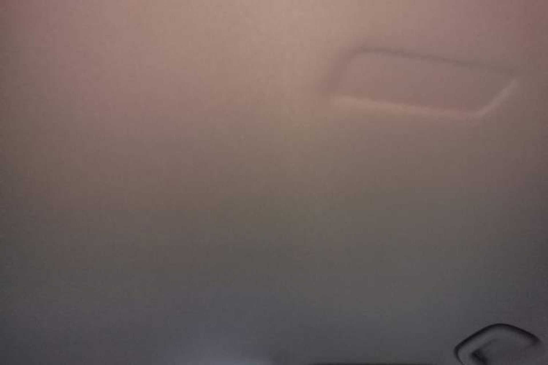 Used Geely Galaxy Geome 2025 310km Youth Edition Headliner
