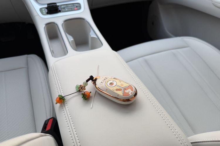 Used Geely Galaxy Geome 2025 UP 410km Exploration Edition Interior 5
