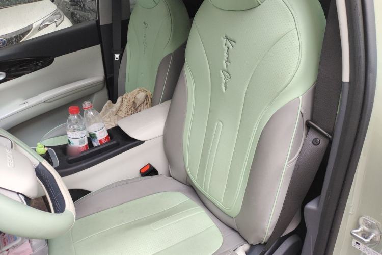 Used Geely Galaxy Geome 2025 410 km Free Version Left Front Seat
