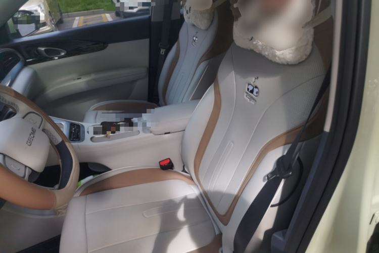 Used Geely Galaxy Geome 2025 310km Dream Edition Left Front Seat