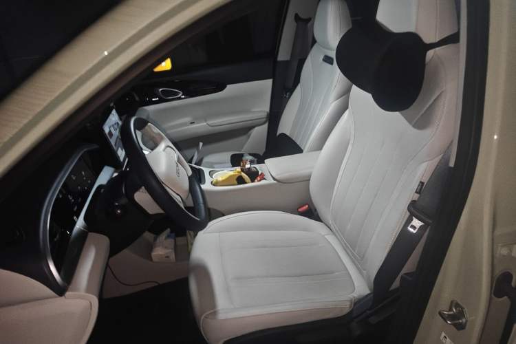 Used Geely Galaxy Geome 2025 310km Youth Edition Left Front Seat