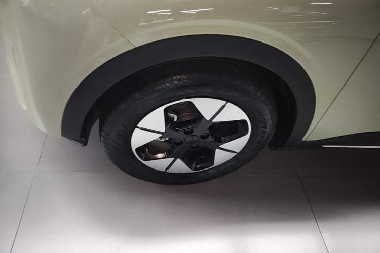 Used Geely Galaxy Geome 2025 410 km Free Version Left Front Wheel Hub