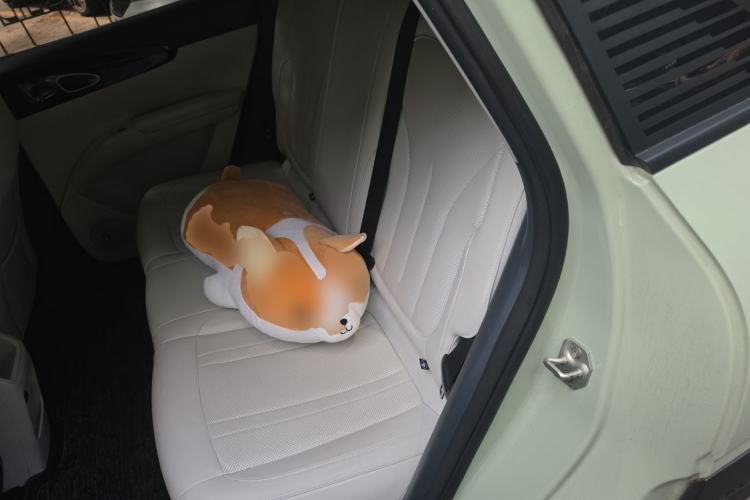 Used Geely Galaxy Geome 2025 UP 410km Exploration Edition Left Rear Seat