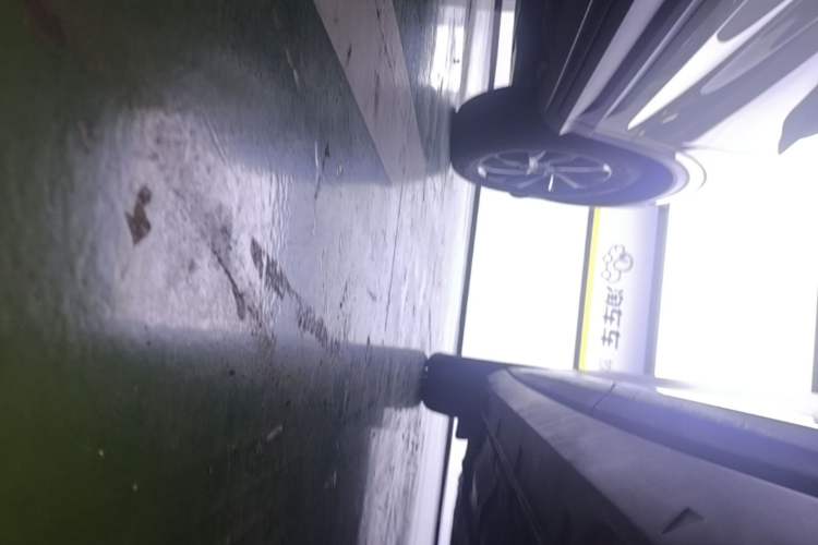 Used Geely Galaxy Geome 2025 310km Dream Edition Left Side Sill