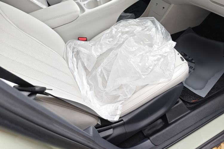 Used Geely Galaxy Geome 2025 UP 410km Exploration Edition Right Front Seat