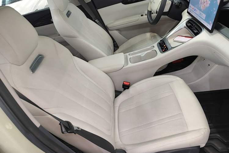 Used Geely Galaxy Geome 2025 310km Dream Edition Right Front Seat